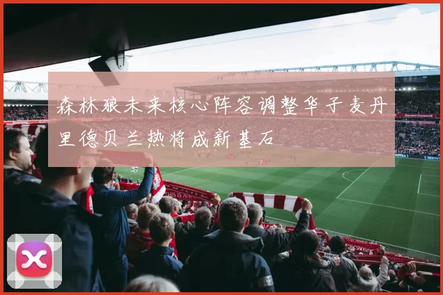森林狼未来核心阵容调整华子麦丹里德贝兰热将成新基石
