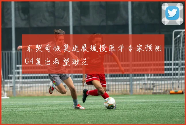东契奇恢复进展缓慢医学专家预测G4复出希望渺茫