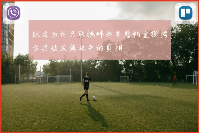 狄龙为何只敢挑衅老年詹帕金斯揭示其被灰熊放弃的真相