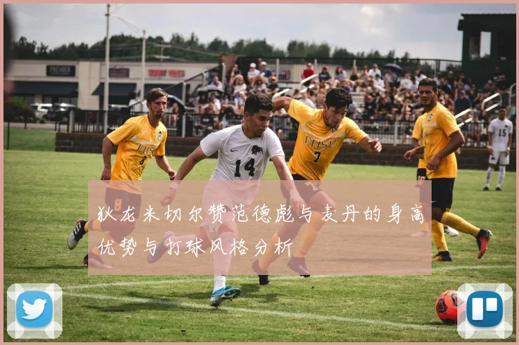 狄龙米切尔赞范德彪与麦丹的身高优势与打球风格分析