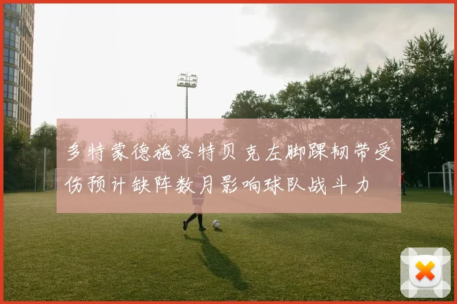 多特蒙德施洛特贝克左脚踝韧带受伤预计缺阵数月影响球队战斗力