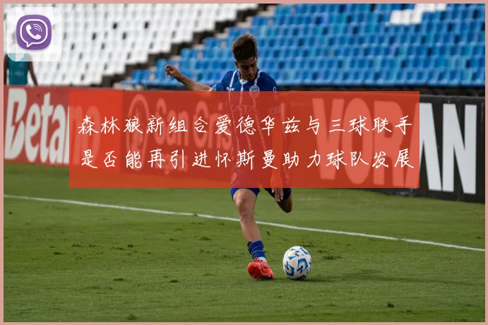 森林狼新组合爱德华兹与三球联手是否能再引进怀斯曼助力球队发展